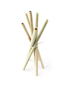 GOLI SODA Reusable Bamboo Straws Set of 6
