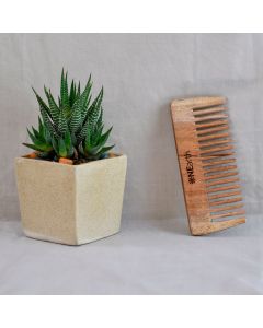 Organic Wooden (Neem Wood) Combs, Pack of 2 [Detangling Shower Comb + 2 in 1 Comb]